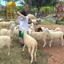 자유목장 이미지