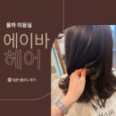도그헤어 | [율하 미용실]에이바헤어 밀본 클리닉으로 손상모 심폐소생술 후기