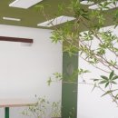 경일여자고등학교 이미지