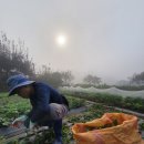 죽곡면 삼태리 마을회관 | ◆곡성48일차-10월 08일(화) 곡성 죽곡면 삼태리