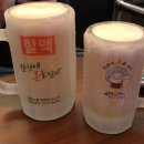 역전할머니맥주 - 동대문구 천호대로85길 14 | 역전할머니맥주