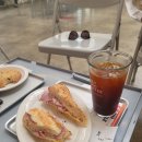 주말은 브런치 카페죠~~^^ 해피의 2025 봄 일상! 이미지