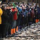 부산공동어시장 이미지