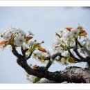 석현농장 이미지