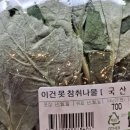 [한국 일상] 대전 (feat. 성심당 딸기시루) | 강릉 눈썰매장, 유리알유희 | 설날 | 다시 호주로