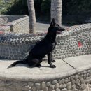 무레아 8시간 <b>베니토</b> 투어