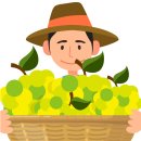 포도랑농원 이미지