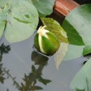 다은농장 이미지