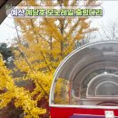 2019 칸티아모 정기공연 | “충남 예산 가을 당일치기 가족여행&#34; 예당호 모노레일, 출렁다리