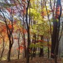 날마다소풍 이미지