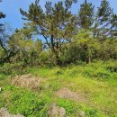 한림읍사무소 이미지