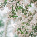 백록담한의원 이미지