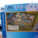 양평곤충박물관 Daum카페