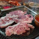 돼지새마을운동 이미지