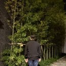 블랙이글 | 남성 데님 팬츠, 신성어패럴 / 블랙이글 극세기모 청바지