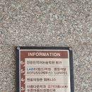 과천 대형카페 글루텐프리 말차 바치케 '케이오피피아이' 솔직후기