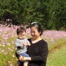 현대공원 앞 이미지