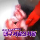 신바다시장 이미지