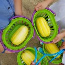 해달별유치원 이미지