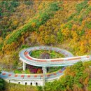 방아다리길 이미지