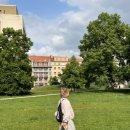 하이디라오코리아(유) 이미지