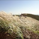 비취, 보석 천수만 조망과 은빛 억새, 오서산(烏棲山, 790.7m)산행*2,013.10.12.토* 이미지