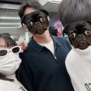 카프리애월민박 | 제주도 애월 파티 게스트하우스 추천 ‘카프리애월 민박’