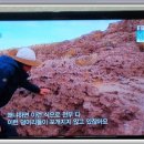 소금이야기민박 이미지