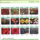 (주)미림조경 이미지