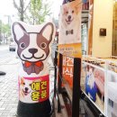 폴리파크 좌동점 | [폴리파크 해운대] 장산점 / 좌동점 에서 고양이용품 쇼핑하기