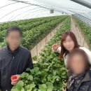 천애농장 이미지
