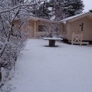 숲속의 하루민박 이미지