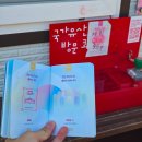 [국가유산 방문코스91] 계림 스탬프 위치와 최부자집, 월정교 야경 일출