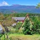 캠파제주 이미지