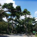 다향각화장실 | 백양사(전남 장성군)