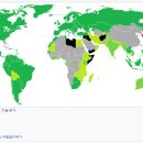 비자