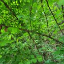 장수보건진료소 이미지