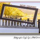 문광초등학교 | 문광저수지 은행나무 길 가을 단풍 절정! 충북 괴산 가볼 만한 곳 단풍 명소｜주차·촬영 포인트 총정리