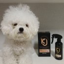 케이나인(K9)호텔 | K9플러피 볼륨 스프레이 체험후기