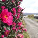 발산목장 이미지