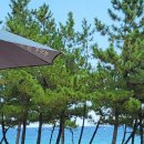 지에스25 강문해변점 이미지