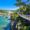 출렁다리 카페 이미지