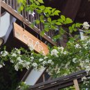 풍경이 아름다운집 별관 이미지