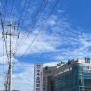 카인드자동차정비 | 하남 감일 맛집 백년가 모듬수육 순대국 (+)순대 다이어트