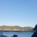 곤리도감민박 이미지