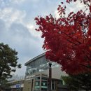 유치과의원 | 일상 이야기와 초딩 아들내미 동백서울유치과 교정 상담 후기.