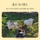 포니랜드 | 울산 아기랑 갈만한 곳 다양한 동물들이 있는 울산동물원 포니랜드 내돈내산 솔직후기