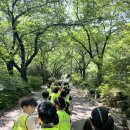 5월 - 앞산공원 숲체험🍀 이미지