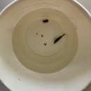 스마트세이프티 | 페이토 스마트 세이프티 과열방지 스퀘어 어항히터 내돈내산 후기