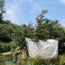 계수농장 이미지